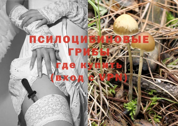 гашишное масло Медногорск